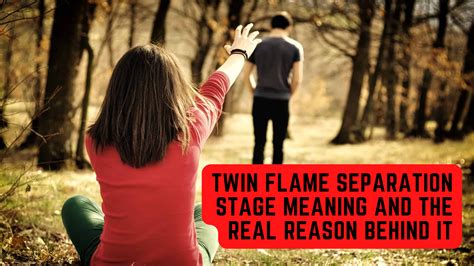 The Spiritual Significance of Twin Flame Separation in a Violent Hindi Movie Dream